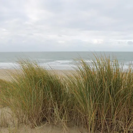 De Strandloper